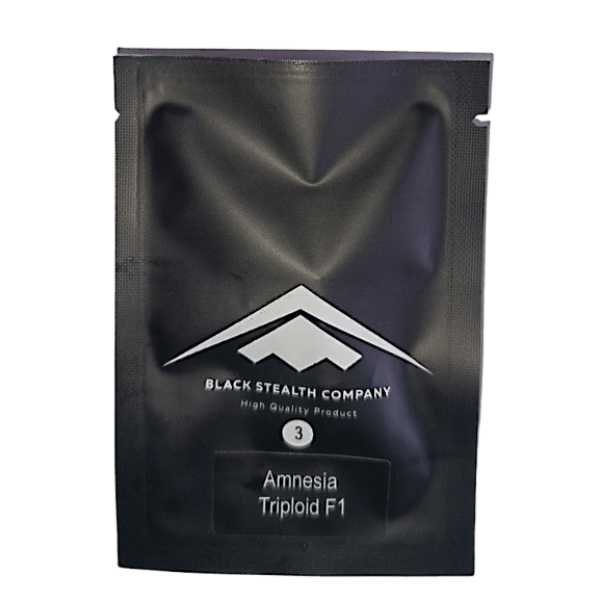 Семена конопли триплоидные Amnesia Triploid F1 - BSC