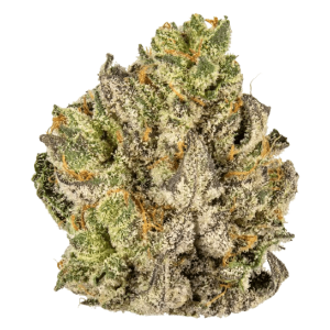 Cherry Cookies Triploid F1