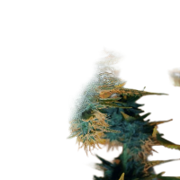 Auto CBD Green Crack 