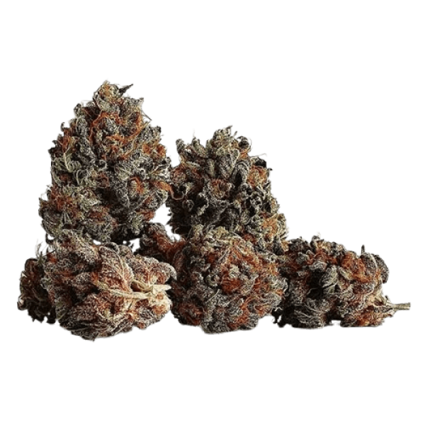Насіння коноплі Golosa від Delicious Seeds