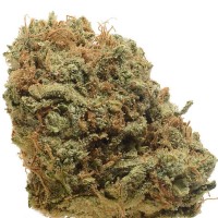 CRITICAL MASS