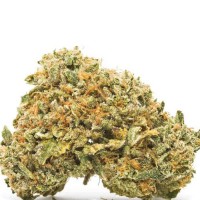 SUNMANGO