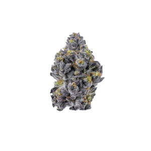 Sticky Wasabi Triploid F1