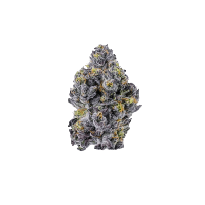 Sticky Wasabi Triploid F1