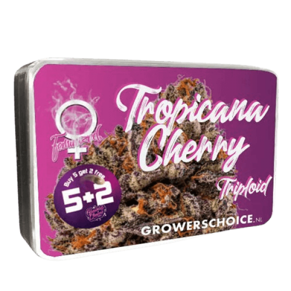 Насіння коноплі Tropicana Cherry Triploid F1 - Growerschoice