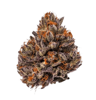 Tropicana Cherry Triploid F1