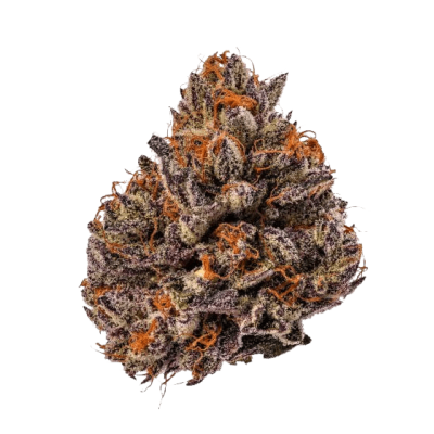 Tropicana Cherry Triploid F1