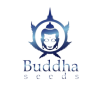 Buddha Seeds 