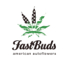 Fast Buds Seeds
