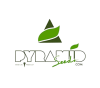 Pyramid Seeds 