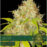 Auto AK 49