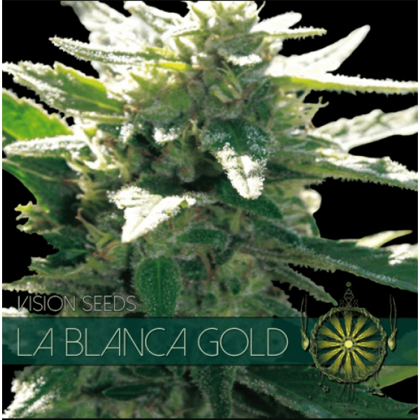 Насіння коноплі  La Blanca Gold - Vision Seeds