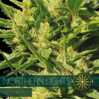 Auto Northern Lights