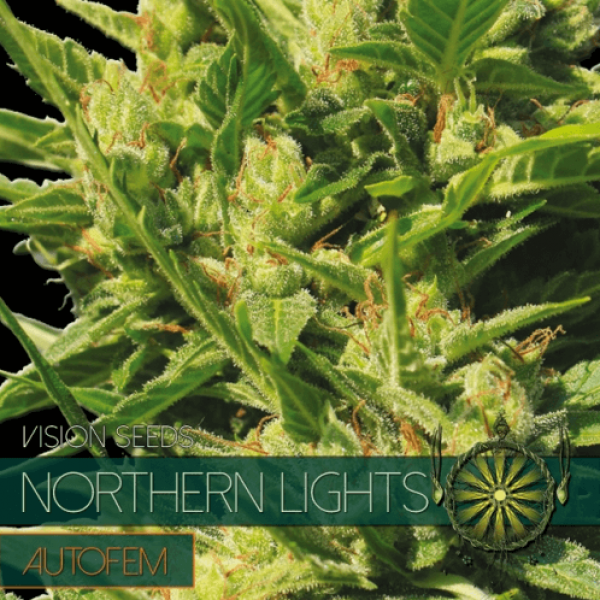 Насіння коноплі Auto Northern Lights - Vision Seeds