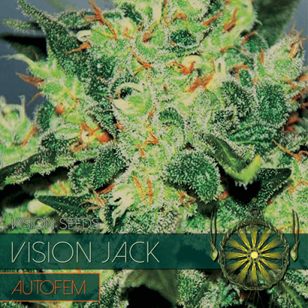 Насіння коноплі Auto Vision Jack - Vision Seeds
