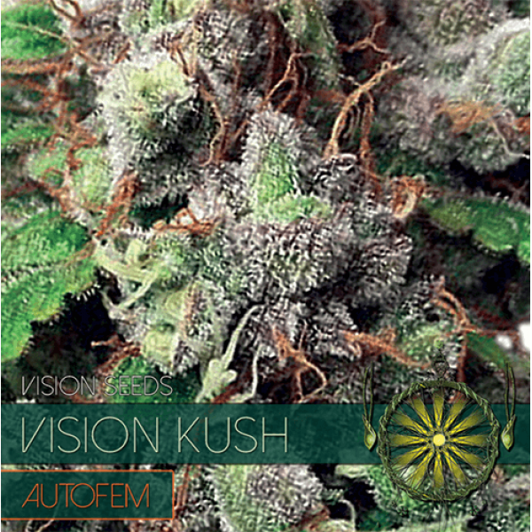 Семена конопли  Auto Vision Kush - Vision Seeds