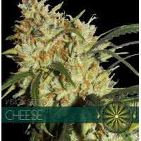 Cheese
