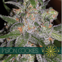 Vision Cookies