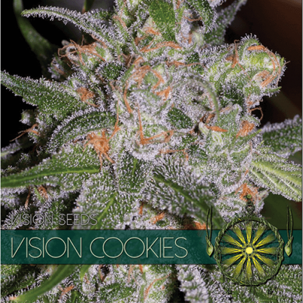 Насіння коноплі  Vision Cookies - Vision Seeds