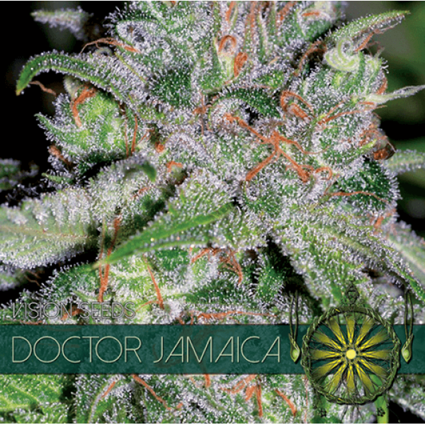 Насіння коноплі  Doctor Jamaica - Vision Seeds