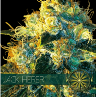 Jack Herer