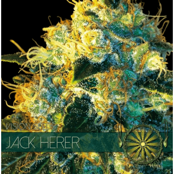 Насіння коноплі  Jack Herer - Vision Seeds