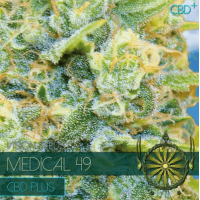 CBD Medical 49