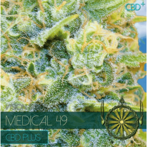 CBD Medical 49