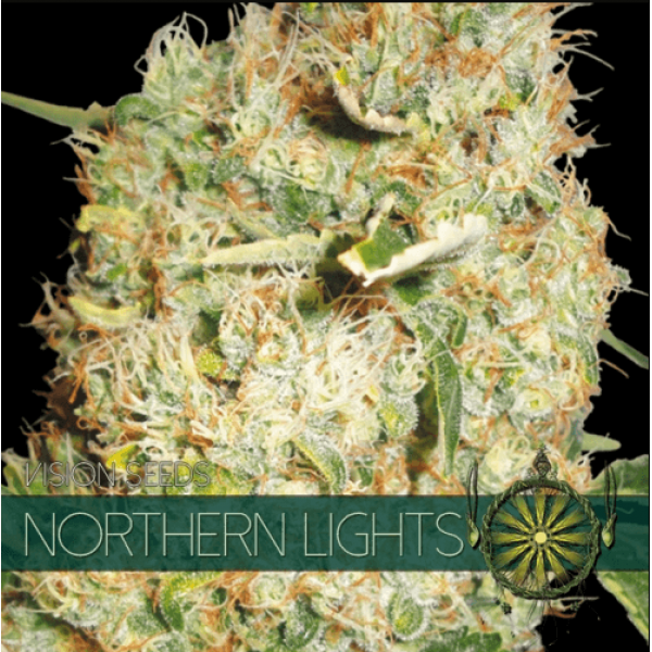 Насіння коноплі  Northern Lights - Vision Seeds