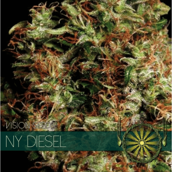 Насіння коноплі  NY Diesel - Vision Seeds
