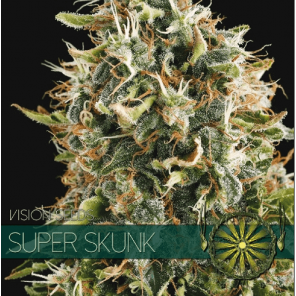 Насіння коноплі  Super Skunk - Vision Seeds