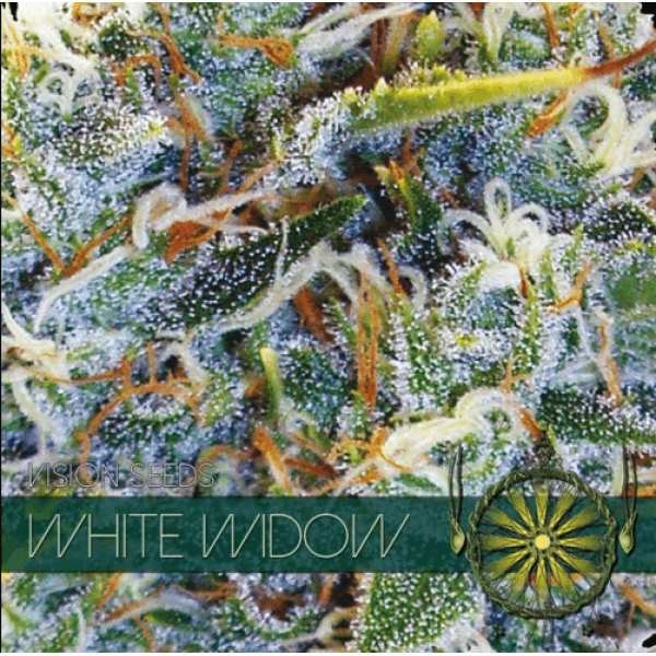 Насіння коноплі  White Widow - Vision Seeds