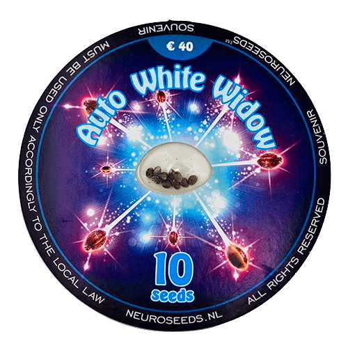 Paranoia seed type-w パラノイア　シードW Купити насіння коноплі Neuro seeds ❗ ( Київ, Львів, Харків